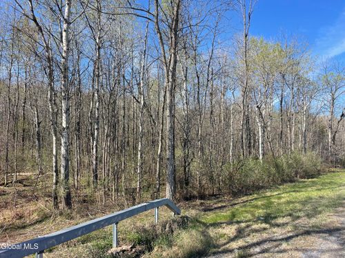 Lot 26 Highway Route 20, Sharon Springs, NY, 13459 | Card Image