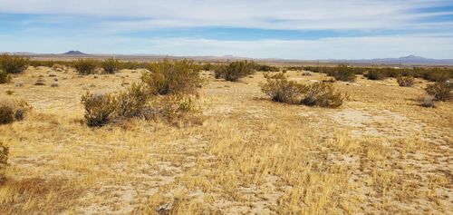 49249502 Alamo Dr, Boron, CA, 93516 | Card Image