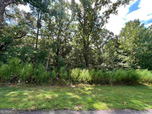 LOT 187 Northshore Dr, Cleveland, GA, 30528 | Card Image