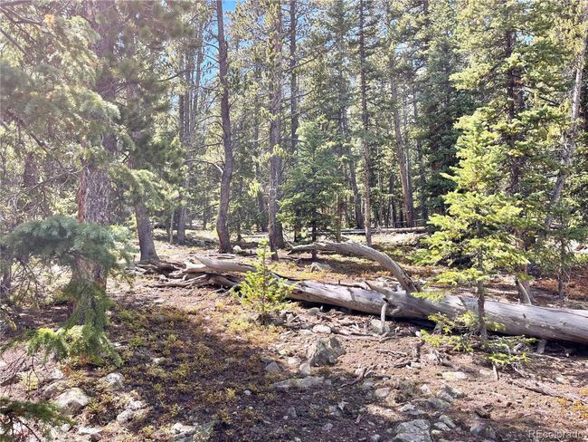 676 Dry Gulch Rd, Home with 0 bedrooms, 0 bathrooms and null parking in Fairplay CO | Image 11