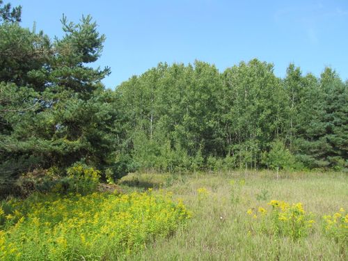 '0' E M-55 Hwy, Cadillac, MI, 49601 | Card Image