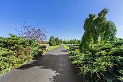 Entrance Drive | Image 2