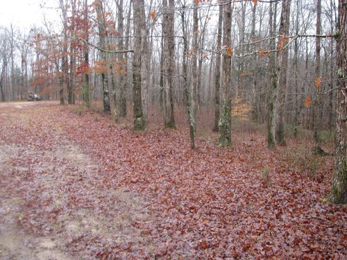 0 Three Rivers Drive, Hurricane Mills, TN, 37078 | Card Image