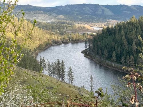 310 Cougar Rd, Kamiah, ID, 83536-5362 | Card Image