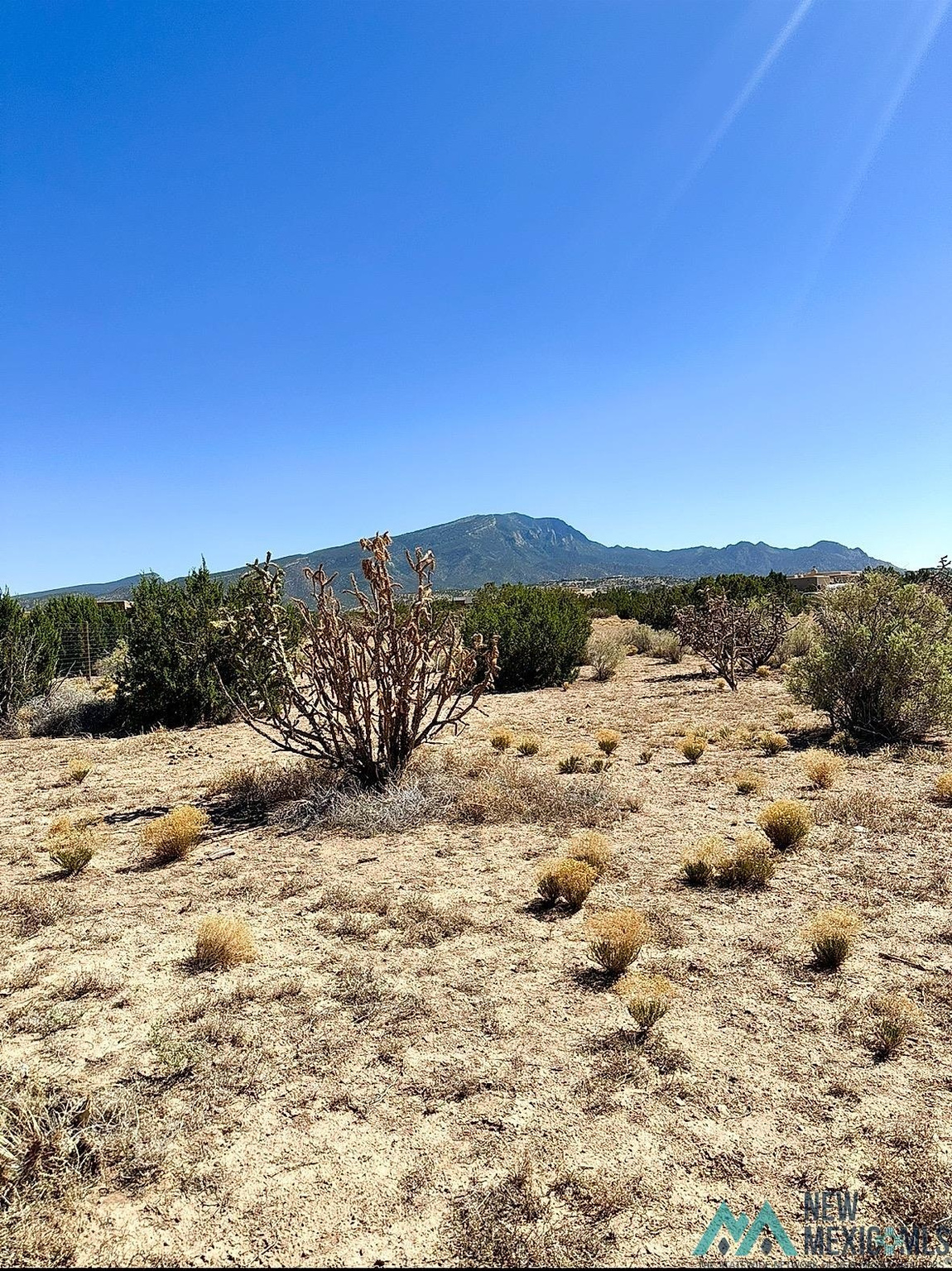 Land in Placitas 3