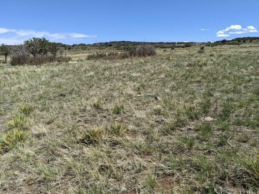 Land in Walsenburg 5