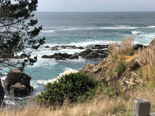 554 Lower Pacific Dr, Whitethorn, CA, 95589-9232 | Card Image