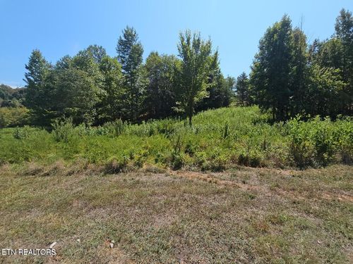 41 Meadow Ln, Harriman, TN, 37748 | Card Image