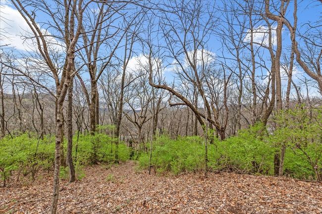0 Kenesaw Dr, Home with 0 bedrooms, 0 bathrooms and null parking in Nashville TN | Image 19
