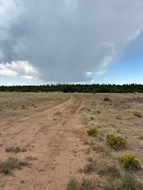 60 Gonzales Rd, Tijeras, NM, 87059-7628 | Card Image