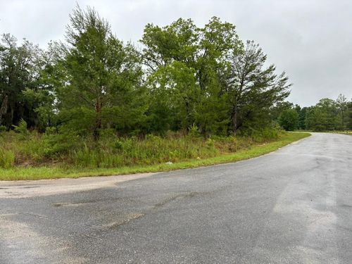 1 Malauka Radial Dr, OCKLAWAHA, FL, 32179-6415 | Card Image