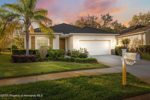 11254 Mollymawk Ct, New Port Richey, FL, 34654-5068 | Card Image