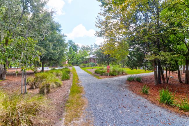 1888 Nola -Tidalcreekphoto- (63) | Image 64