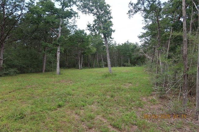 1584 Dungens Mill Rd, Home with 0 bedrooms, 0 bathrooms and null parking in Columbus TX | Image 5