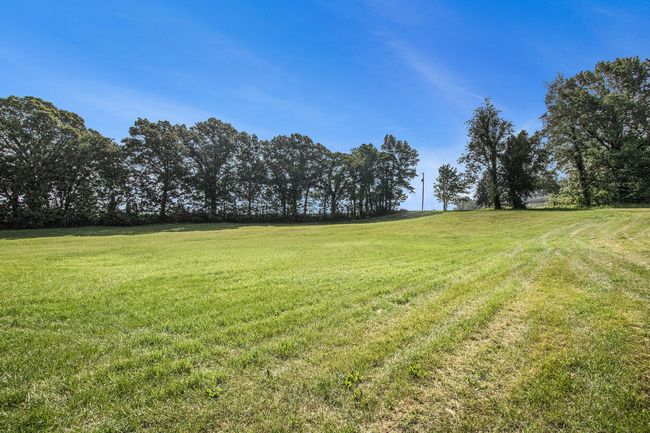 views of front lawn | Image 4