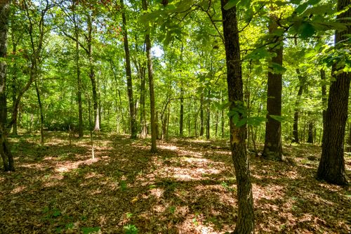 000 Wood Thrush Ln, Ozark, MO, 65721 | Card Image