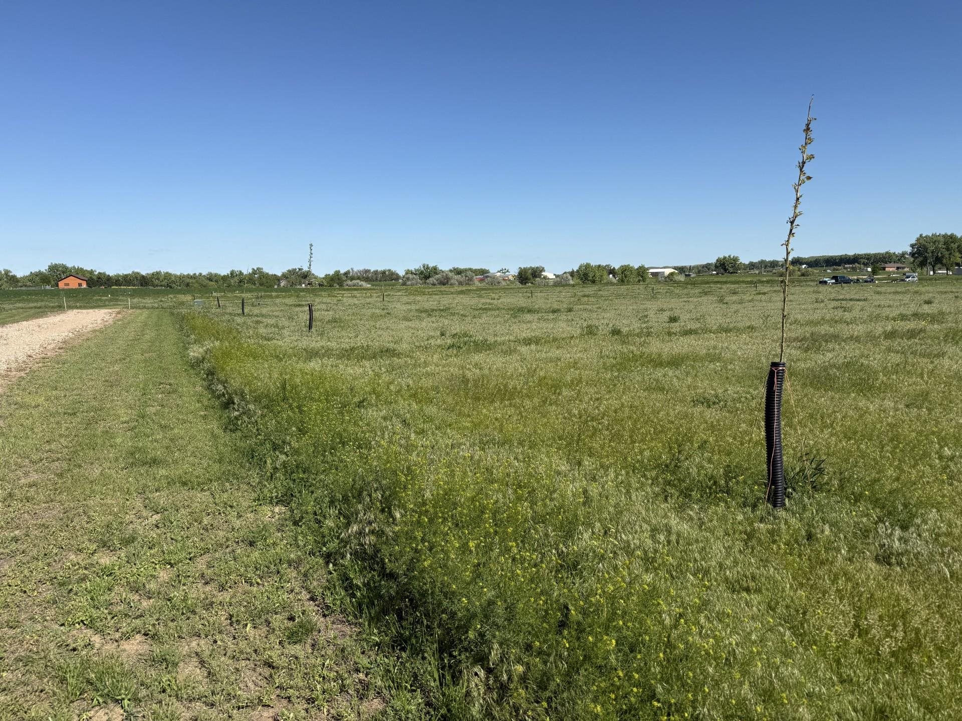 Land in Belle Fourche 4
