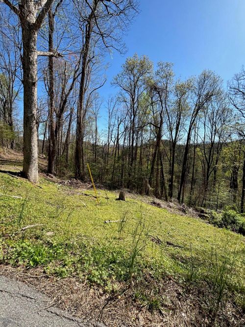 000 Esslinger Dr, Gatlinburg, TN, 37738 | Card Image