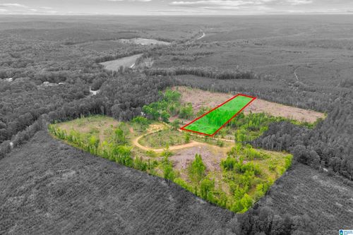 3-1 Active Rd, LAWLEY, AL, 36793 | Card Image