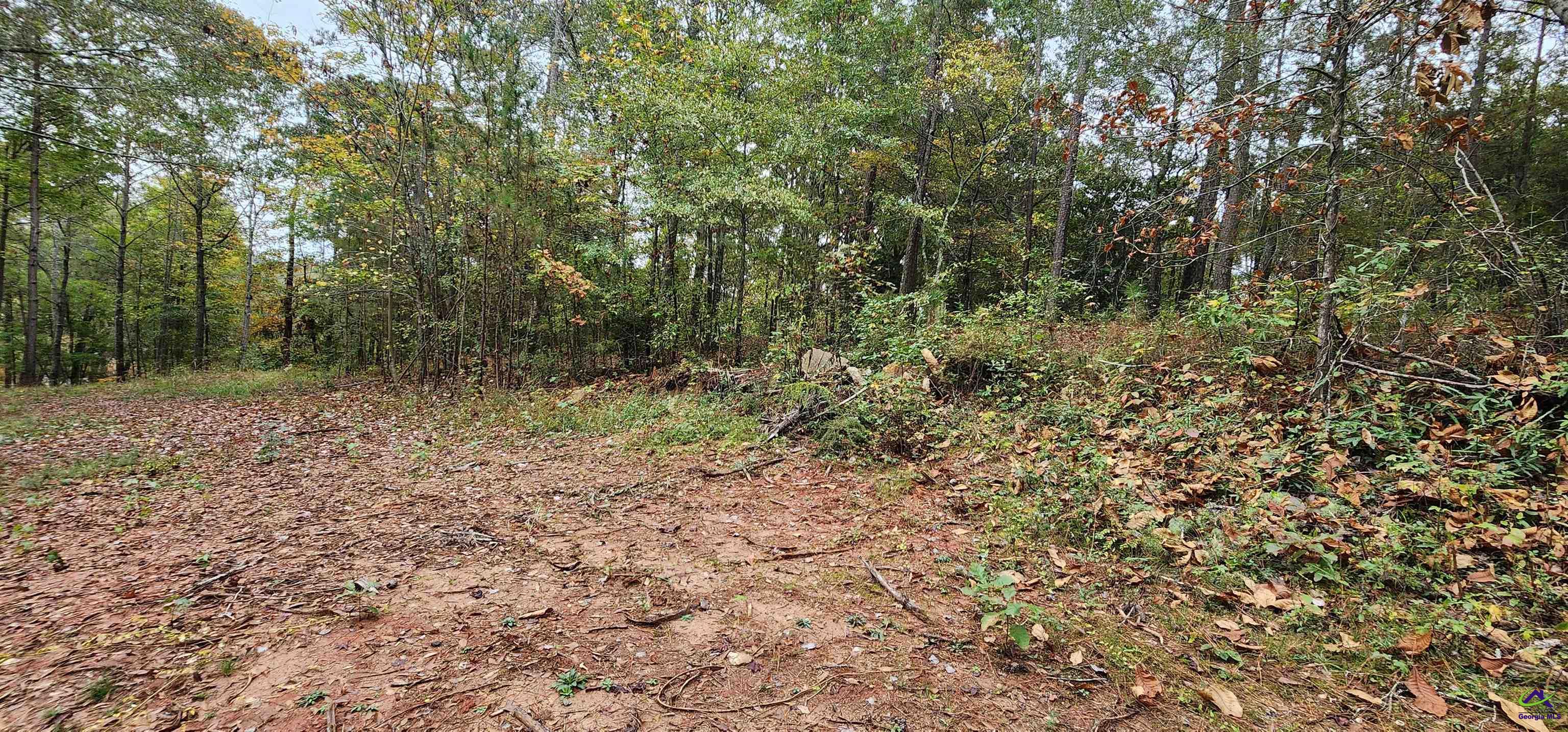 Land in Monticello