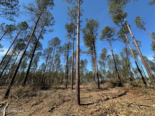 3 Highway 478, Newhebron, MS, 39140 | Card Image