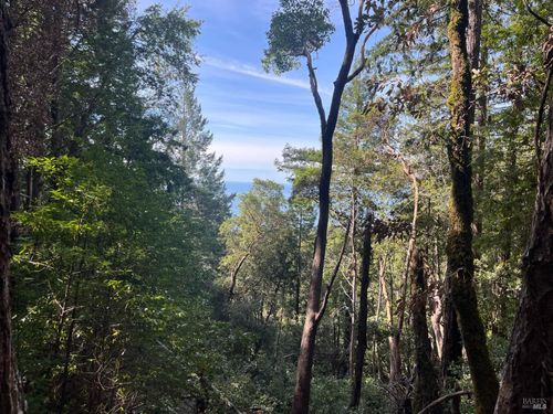 30055 Seaview Road, Cazadero, CA, 95421 | Card Image
