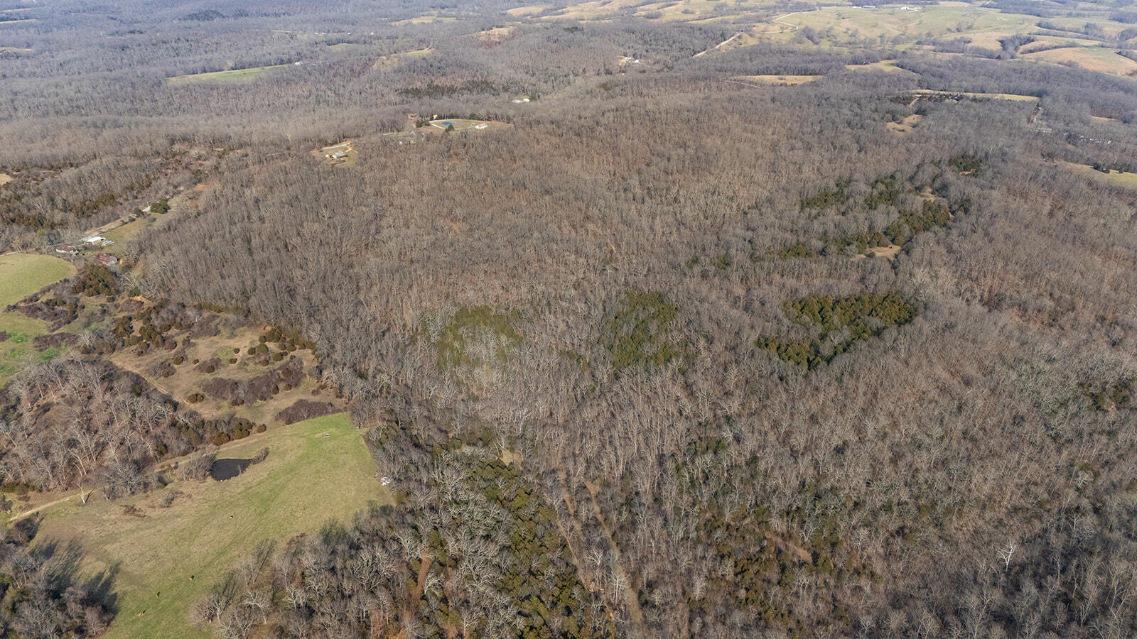 Land in Fordland 4