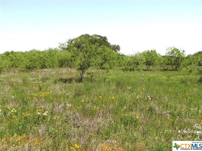 6630 S Fm 183, House other with 3 bedrooms, 2 bathrooms and null parking in Evant TX | Image 36