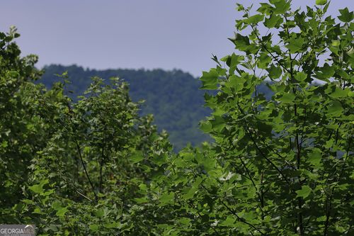 29 Cool Spring Ln, Clayton, GA, 30525 | Card Image