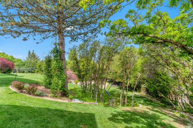 View of yard | Image 81