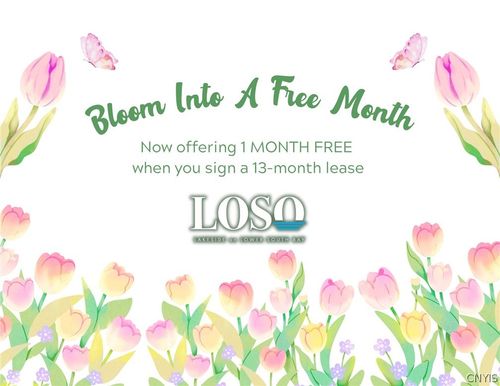 1120-11 Loso Dr, Cicero, NY, 13039-7115 | Card Image