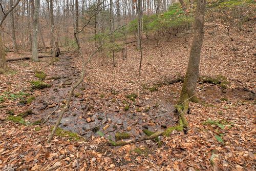 00 Spruill Dr, Ellijay, GA, 30536 | Card Image