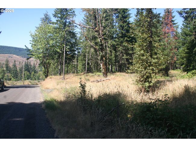 3647 Briar Knob Loop Ne, Home with 0 bedrooms, 0 bathrooms and null parking in Scotts Mills OR | Image 14