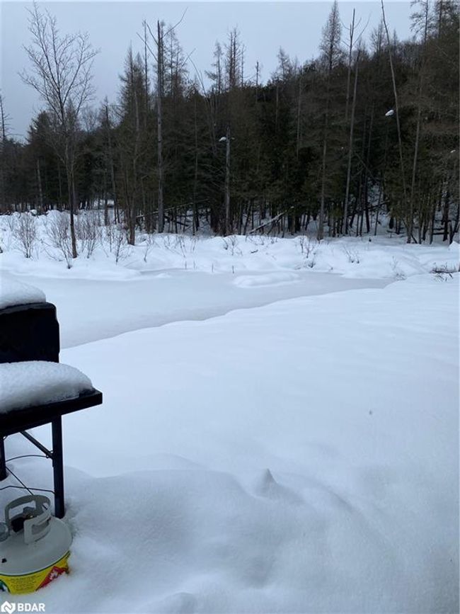 1073 Rosseau Lake Rd 1, House other with 3 bedrooms, 2 bathrooms and 6 parking in Windermere ON | Image 17