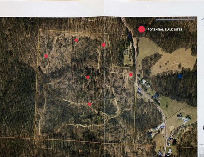 *Red dots indicate some existing clearing and/or beautiful views for potential build sites. | Image 24