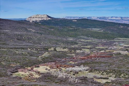 5962 Highway 65, Mesa, CO, 81643 | Card Image