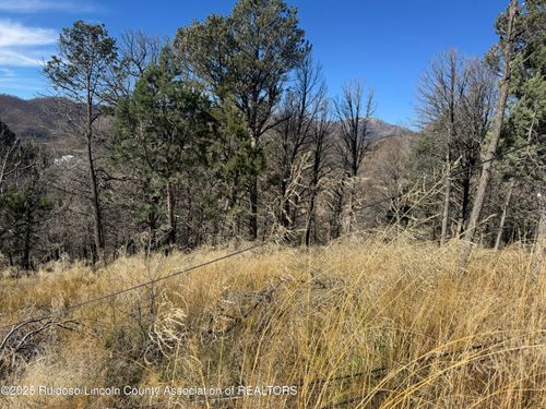 - Pine Shadow Trl, Ruidoso, NM, 88345 | Card Image
