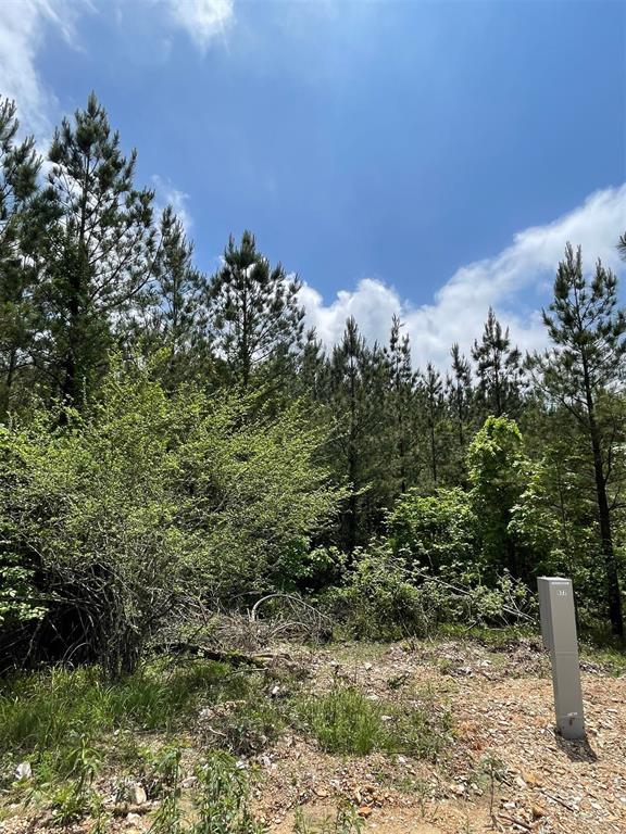 Land in Broken Bow