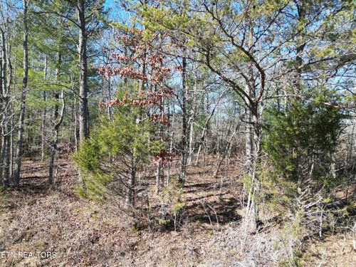 1022 Chanute Trl, Crossville, TN, 38572 | Card Image