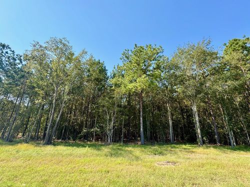 TBD Stonebrook Dr, Livingston, TX, 77351 | Card Image