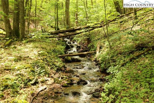 65 Madisyn Oaks Ln, Boone, NC, 28607 | Card Image