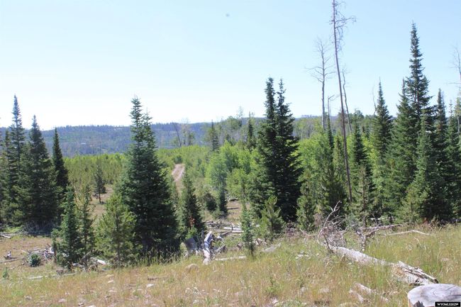 9706 9902 County Road 271, Home with 5 bedrooms, 3 bathrooms and null parking in Robertson WY | Image 46