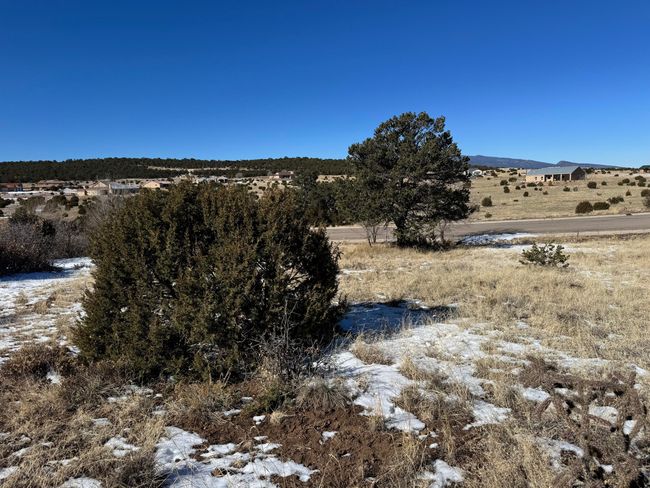 21 Punch Ct, Home with 0 bedrooms, 0 bathrooms and null parking in Tijeras NM | Image 6