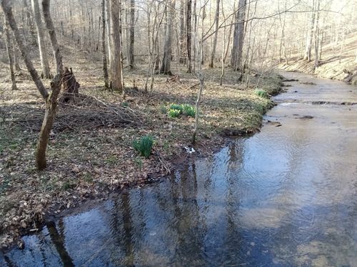 1032 Lockridge Ln, Ashland City, TN, 37015-6076 | Card Image