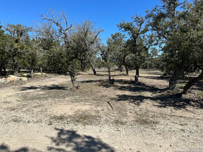 4621 Mccall Creek Rd, Home with 0 bedrooms, 0 bathrooms and null parking in Blanco TX | Image 7