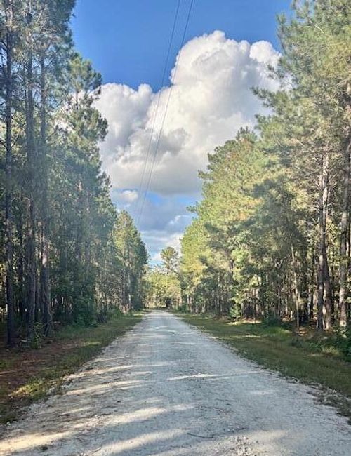 432 River Bluff Trl, Saint Stephen, SC, 29479-4162 | Card Image