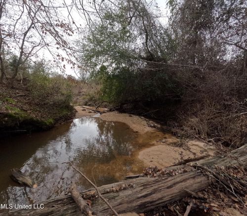 162 Christian Heights Rd, Braxton, MS, 39044-9580 | Card Image