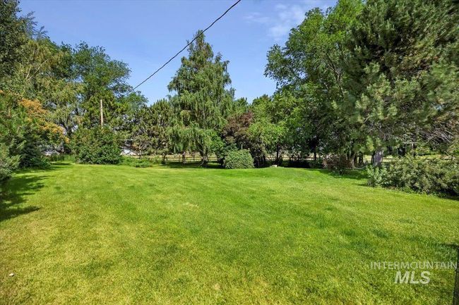 View of green lawn | Image 29