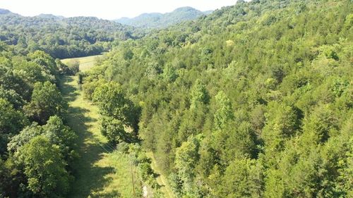2775 Ensor Hollow Rd, Buffalo Valley, TN, 38548 | Card Image