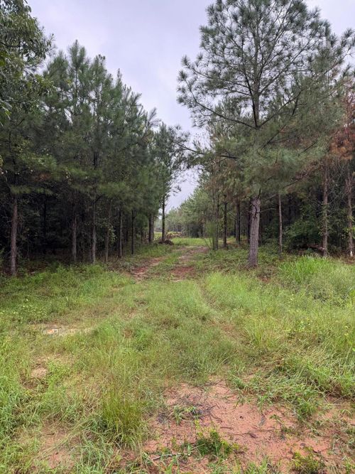 0 Ga Highway 23 S, Waynesboro, GA, 30830 | Card Image